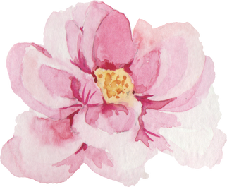 Watercolor Pink Flower